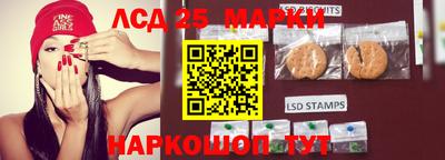 шишки Вышний Волочёк
