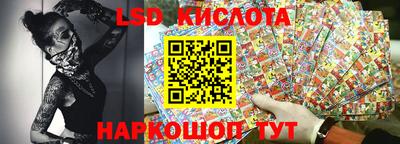 шишки Вышний Волочёк