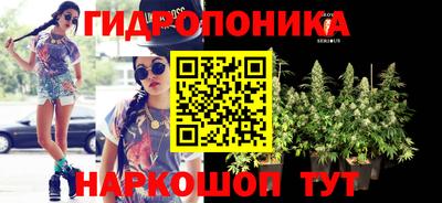 шишки Вышний Волочёк