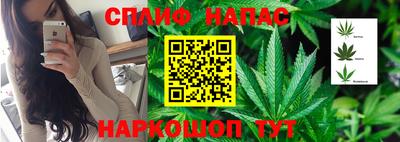 apvp Вязники