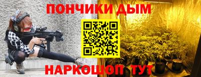 шишки Вышний Волочёк