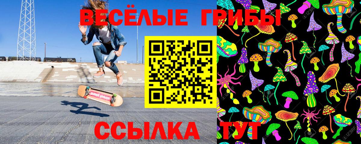 Псилоцибиновые грибы Psilocybe Белорецк